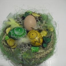 Hnízdo s vajíčky
